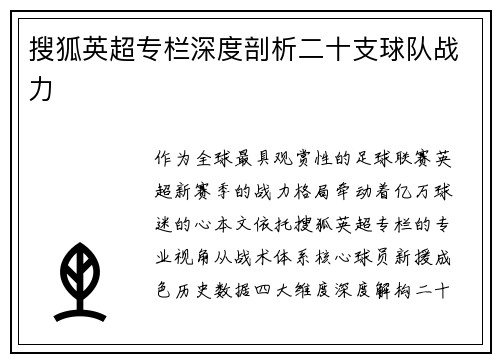 搜狐英超专栏深度剖析二十支球队战力